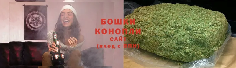 Канабис White Widow  хочу наркоту  блэк спрут сайт  Нолинск 